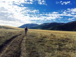hiking the lamar valley
